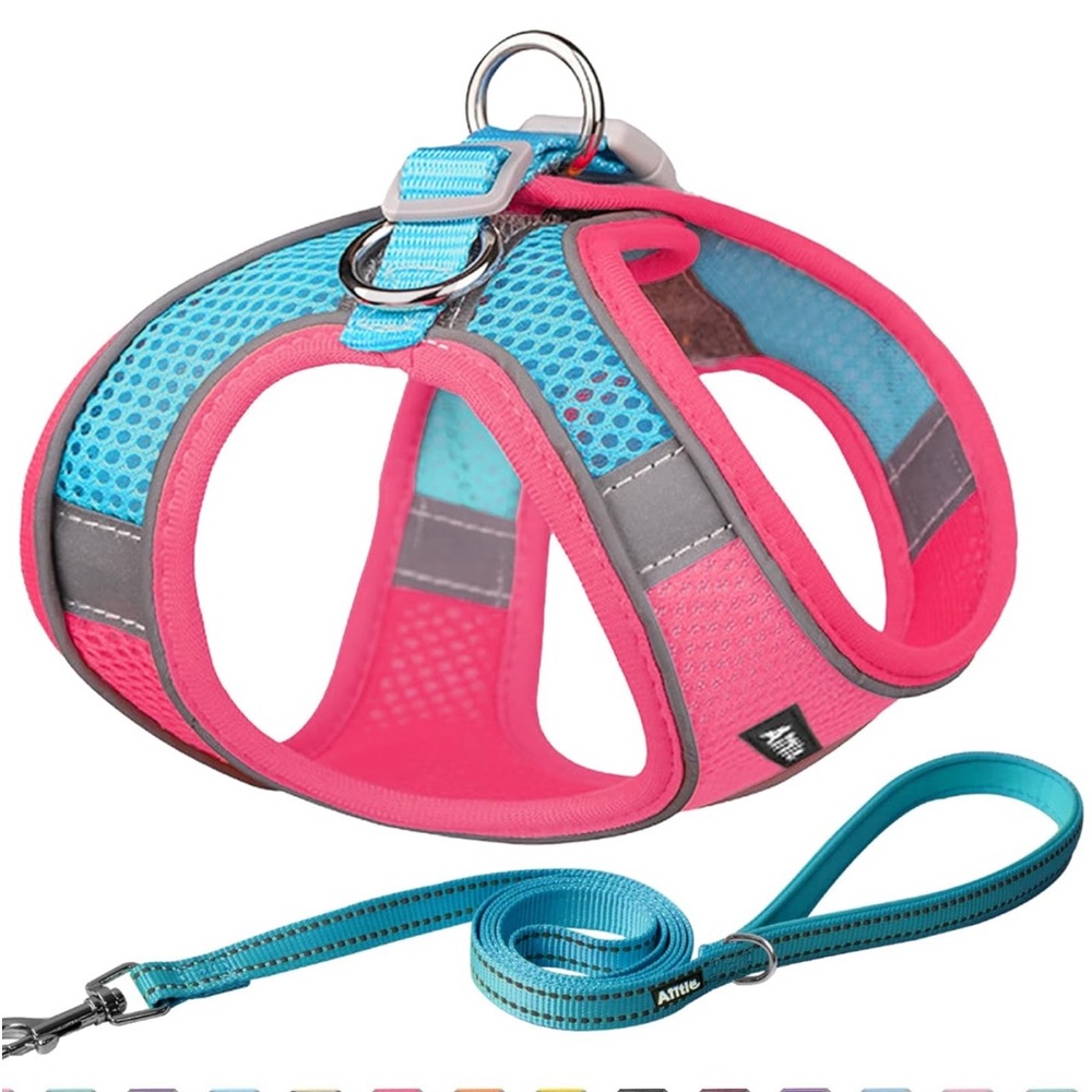 🐶Aiitle  Dog Harness and Leash Set  Size Small NWP